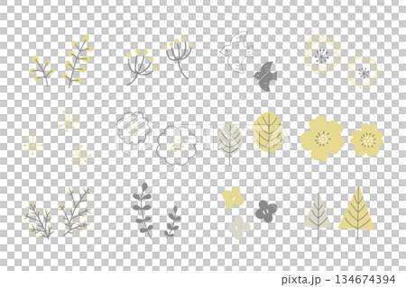 Scandinavian style hand-drawn plant and flower natural illustration set 134674394