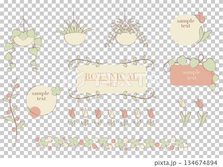 This is a botanical frame set in gentle colors, featuring ornamental plants and flowers. 134674894