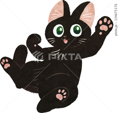 じゃれつき猫 じゃれつき猫 134675178