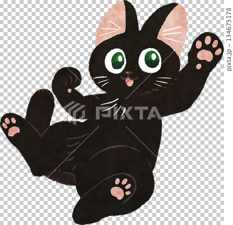 Playful Cat Playful Cat 134675178
