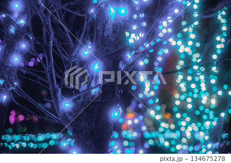夜の静寂を彩るクリスマスのイルミネーションと光のボケ 134675278