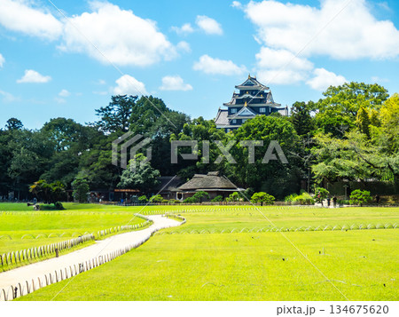 夏の岡山　後楽園の清々しい景色　芝生の広場と岡山城 134675620