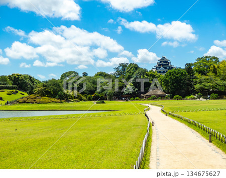 夏の岡山　後楽園の清々しい景色　芝生の広場と岡山城 134675627