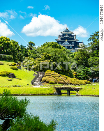 夏の岡山　後楽園の清々しい景色　沢の池と岡山城 134675646