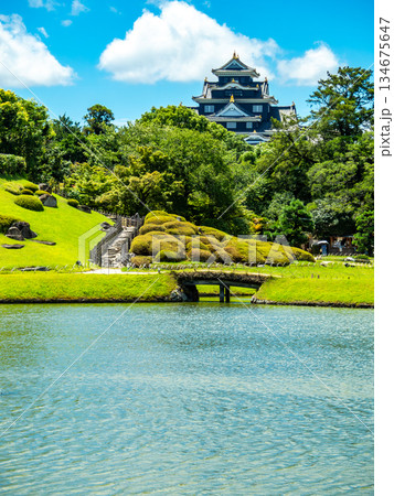 夏の岡山　後楽園の清々しい景色　沢の池と岡山城 134675647