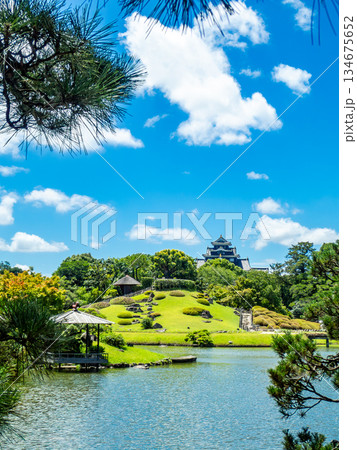 夏の岡山　後楽園の清々しい景色　沢の池越しに望む唯心山と岡山城 134675652