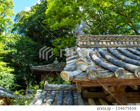 夏の岡山　後楽園の清々しい景色　歳月を重ねた厳かな瓦屋根 134675656