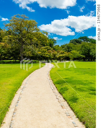 夏の岡山　後楽園の清々しい景色　芝生と園路 134675668