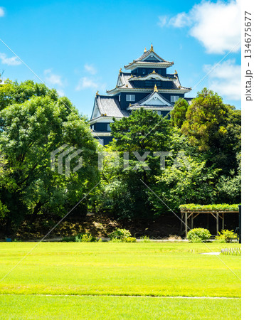 夏の岡山　後楽園の清々しい景色　芝生広場と岡山城 134675677