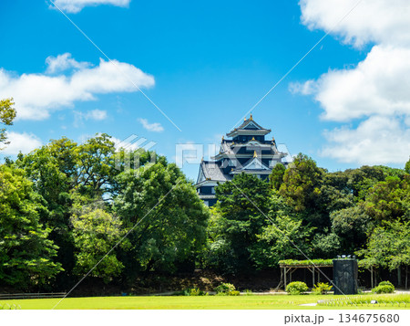 夏の岡山　後楽園の清々しい景色　芝生広場と岡山城 134675680