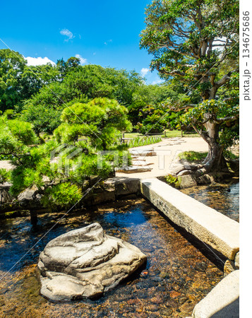 夏の岡山　後楽園の清々しい景色　清らかな流れ 134675686