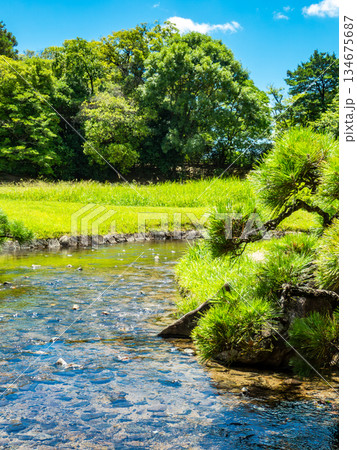 夏の岡山 後楽園の清々しい景色 清らかな流れ 夏の岡山 後楽園の清々しい景色 清らかな流れ 134675687