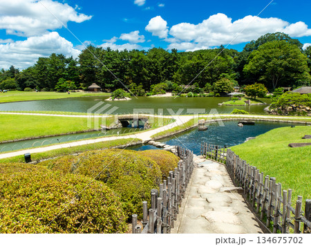 夏の岡山　後楽園の清々しい景色　唯心山からの眺め 134675702