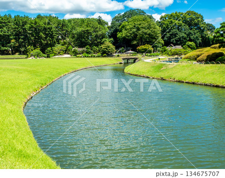 夏の岡山　後楽園の清々しい景色　芝生と沢の池 134675707