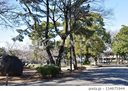 神奈川県 平塚市総合公園中央入口付近散策路と道しるべ 神奈川県 平塚市総合公園中央入口付近散策路と道しるべ 134675944