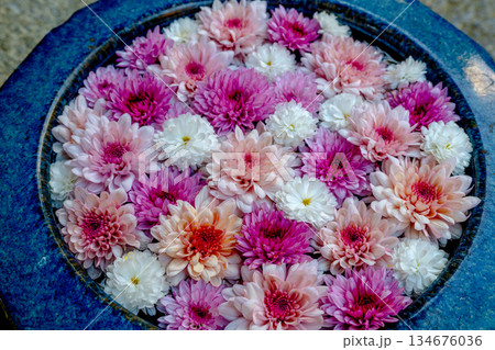 和心 花手水のおもてなし 和心 花手水のおもてなし 134676036