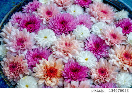 和心　花手水のおもてなし 134676038