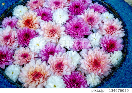 和心 花手水のおもてなし 和心 花手水のおもてなし 134676039