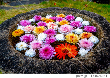 和心 花手水のおもてなし 和心 花手水のおもてなし 134676041