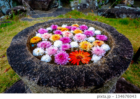 和心　花手水のおもてなし 134676043