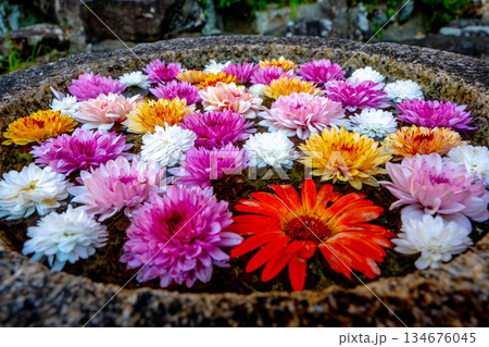 和心　花手水のおもてなし 134676045