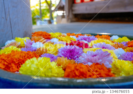 和心　花手水のおもてなし 134676055