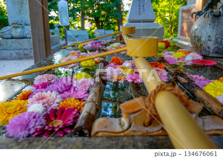 和心　花手水のおもてなし 134676061