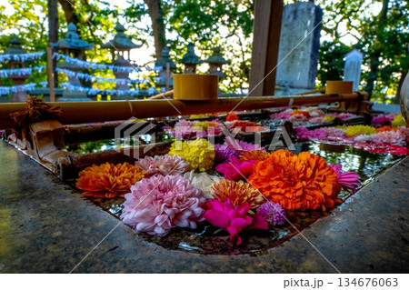 和心 花手水のおもてなし 和心 花手水のおもてなし 134676063