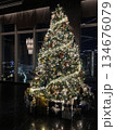 クリスマスツリーのある風景 134676079