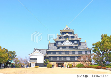 岡山県岡山市、岡山城の風景 134676142