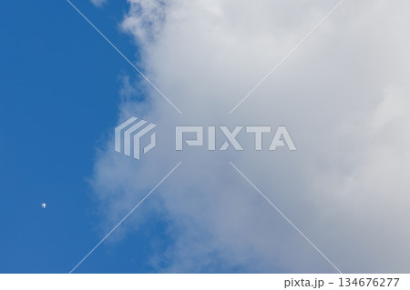 青い空を羽ばたく白い鳥と白い雲 134676277