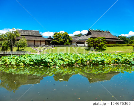 夏の岡山 後楽園の清々しい景色 花葉の池から望む延養亭と栄唱の間 夏の岡山 後楽園の清々しい景色 花葉の池から望む延養亭と栄唱の間 134676366