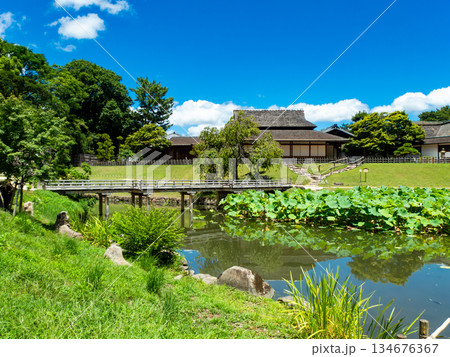 夏の岡山　後楽園の清々しい景色　花葉の池から望む栄唱の間と栄唱橋 134676367