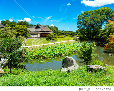 夏の岡山　後楽園の清々しい景色　花葉の池から望む延養亭 134676368