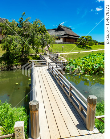 夏の岡山　後楽園の清々しい景色　花葉の池にかかる栄唱橋 134676371