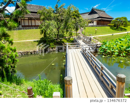 夏の岡山　後楽園の清々しい景色　花葉の池にかかる栄唱橋 134676372