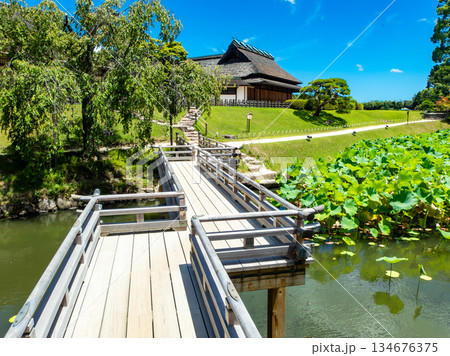 夏の岡山　後楽園の清々しい景色　花葉の池にかかる栄唱橋 134676375