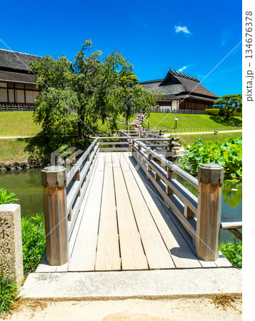 夏の岡山　後楽園の清々しい景色　花葉の池にかかる栄唱橋 134676378