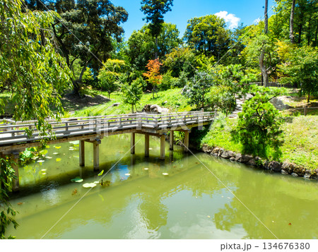 夏の岡山　後楽園の清々しい景色　花葉の池にかかる栄唱橋 134676380