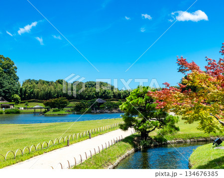 夏の岡山　後楽園の清々しい景色　沢の池と園路 134676385