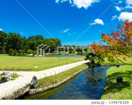 夏の岡山　後楽園の清々しい景色　沢の池と園路 134676389