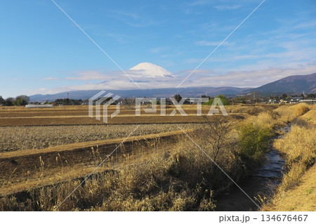 富士山の麓の農閑期の田園風景 富士山の麓の農閑期の田園風景 134676467
