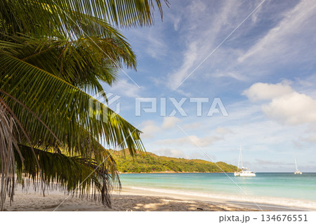 Sunny tropical beach with lush palm fronds framing white sand, turquoise sea 134676551