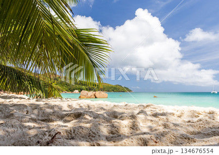 A tranquil tropical beach scene featuring palm fronds and soft white sand 134676554