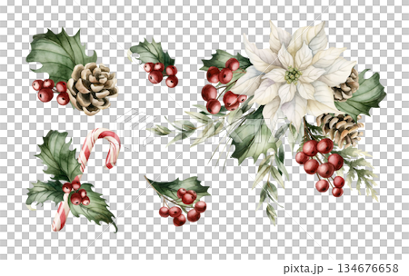 Winter floral arrangements set. Poinsettia flower Holly berry Eucalyptus Pine Cone. Watercolor hand drawn isolated illustration on white background for Christmas New Year design cards holiday print 134676658