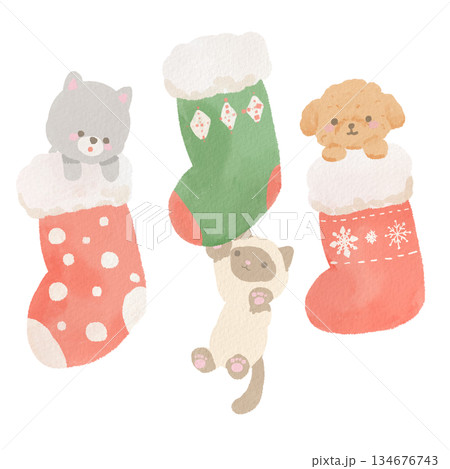 クリスマスの靴下にぶら下がったり入ったりしている犬と猫のイラスト クリスマスの靴下にぶら下がったり入ったりしている犬と猫のイラスト 134676743