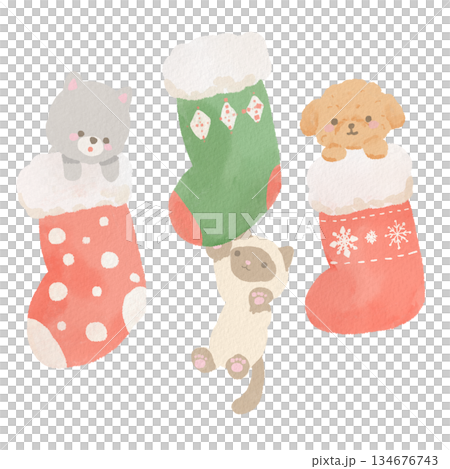 クリスマスの靴下にぶら下がったり入ったりしている犬と猫のイラスト クリスマスの靴下にぶら下がったり入ったりしている犬と猫のイラスト 134676743