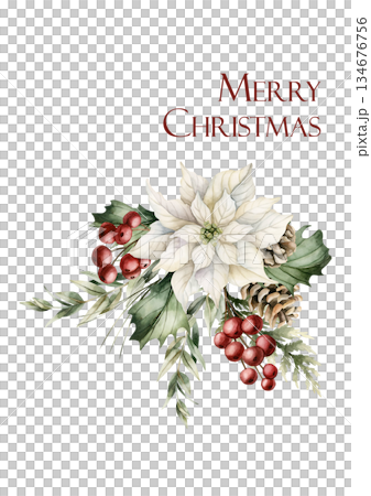 White Poinsettia with Pine Cones Holly Berry Eucalyptus greeting card. Winter floral arrangement. Watercolor hand drawn isolated illustration on white background for Christmas design holiday print 134676756