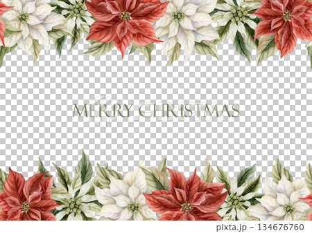 Poinsettia Flowers greeting card. Traditional Christmas Winter Decoration Plants. Watercolor hand drawn isolated vintage floral illustration for Christmas winter design holiday prints New Year Poinsettia Flowers greeting card. Traditional Christmas Winter Decoration Plants. Watercolor hand drawn isolated vintage floral illustration for Christmas winter design holiday prints New Year 134676760