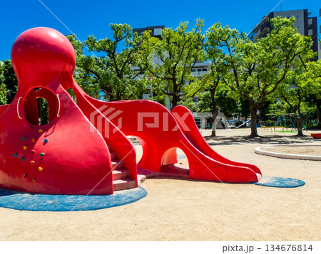 楽しいタコの滑り台のある公園 134676814